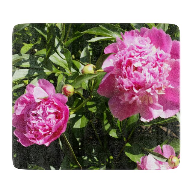 Mörk rosa peonies (Framsidan)