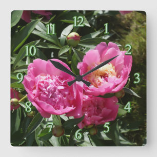 Mörk rosa peonies fyrkantig klocka
