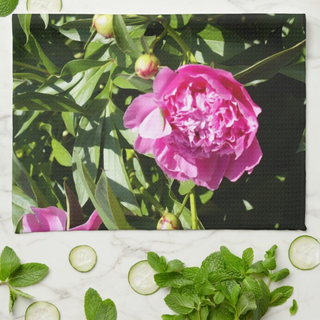 Mörk rosa peonies kökshandduk (Vikta)