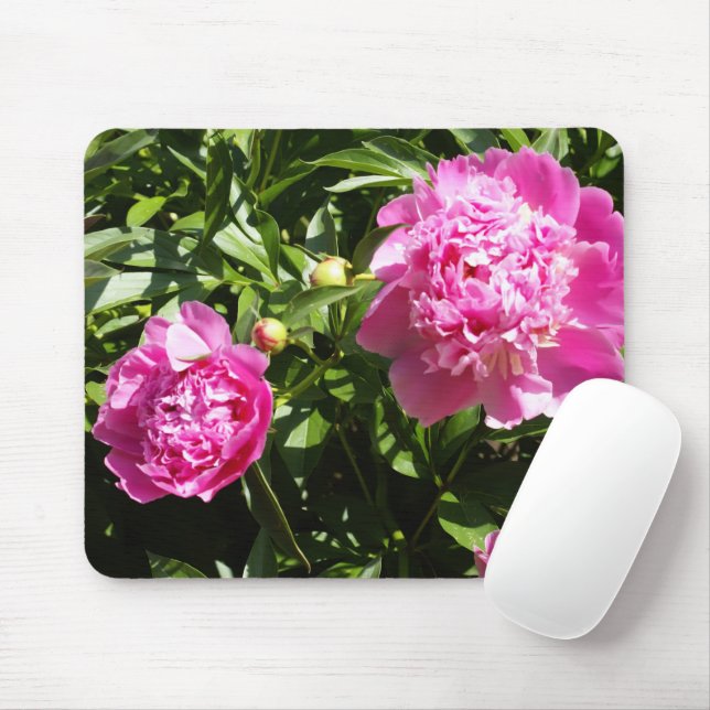 Mörk rosa peonies musmatta (Med mus)