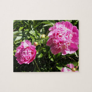 Mörk rosa peonies pussel
