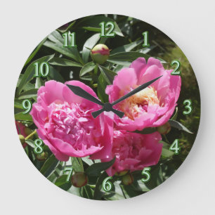 Mörk rosa peonies stor klocka