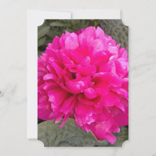 Mörk Rosa Peony Blank Greeting Card