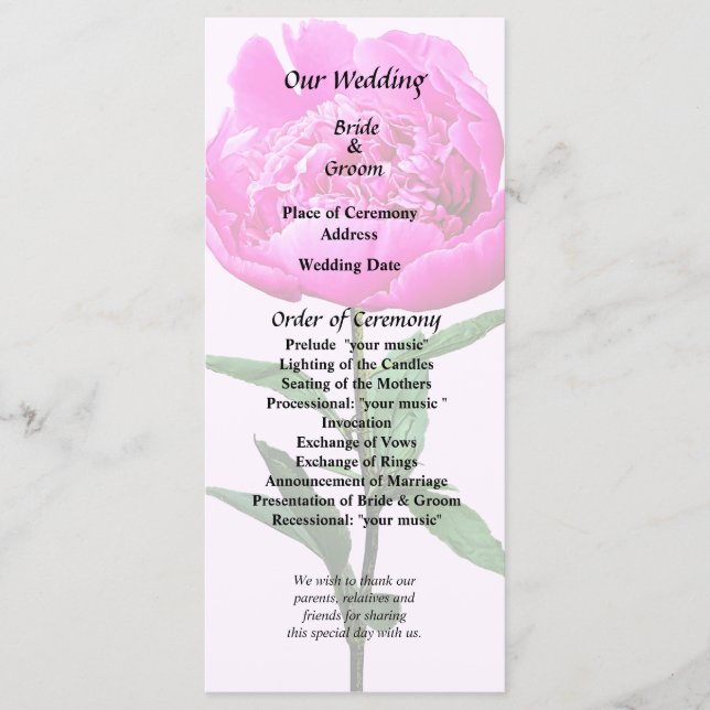 Mörk Rosa Peony Program (Framsida)