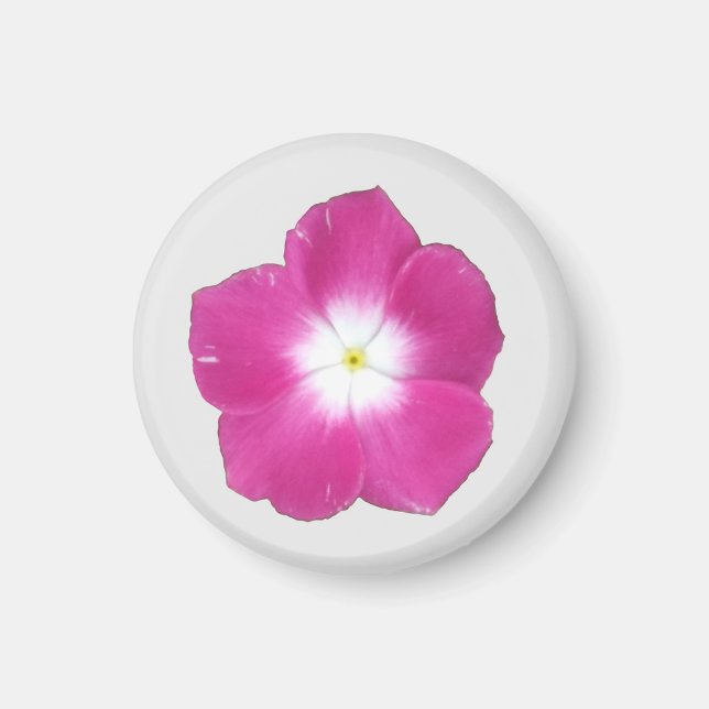 Mörk Rosa Phlox Magnet (Framsidan)