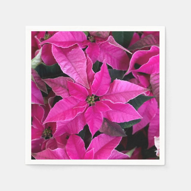Mörk Rosa Poinsettia Pappersservett (Framsidan)