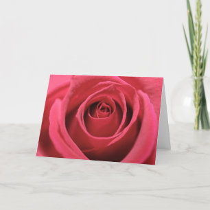 Mörk Rosa ros 01 Kort