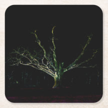 Mörk Sida 1 kustertna