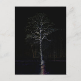 Mörk sida 3 pccnm vykort