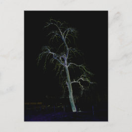 Mörk, sida 8, cirkeln vykort