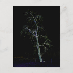 Mörk, sida 8, cirkeln vykort