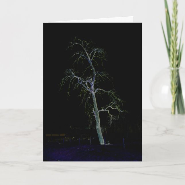 Mörk Sida 8 gCna Kort (Framsida)