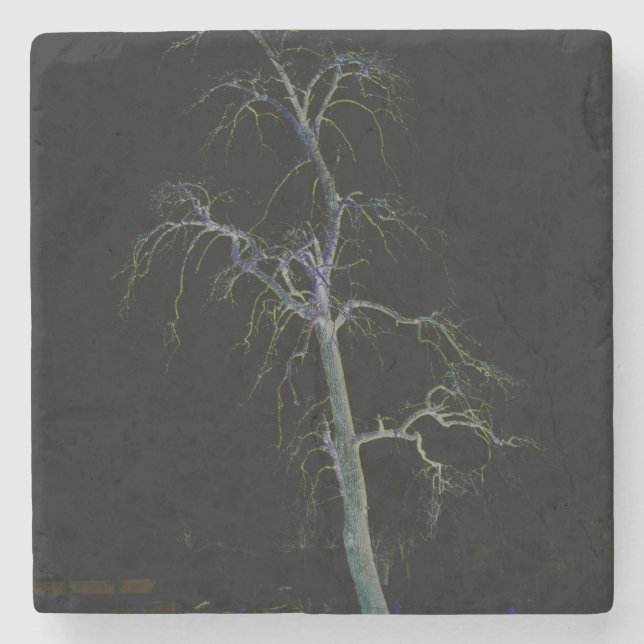 Mörk Sida 8 kusterna Stenunderlägg (Framsidan)