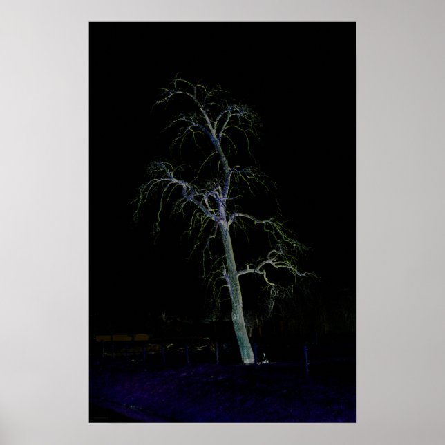 Mörk, sida 8, Poster (Framsidan)