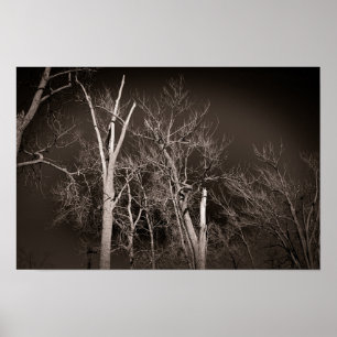 Mörk Skog – Spöklik Svart-vit Träd Konstarbeten Poster