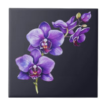 Mörk Slate Grått, Lila Orchid Ceramic Tile