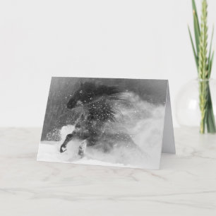 Mörk snöhäst - Hälsningskort för häst Kort