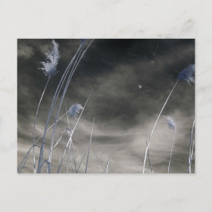 Mörk soligt himmel/infrarött fotografi vykort