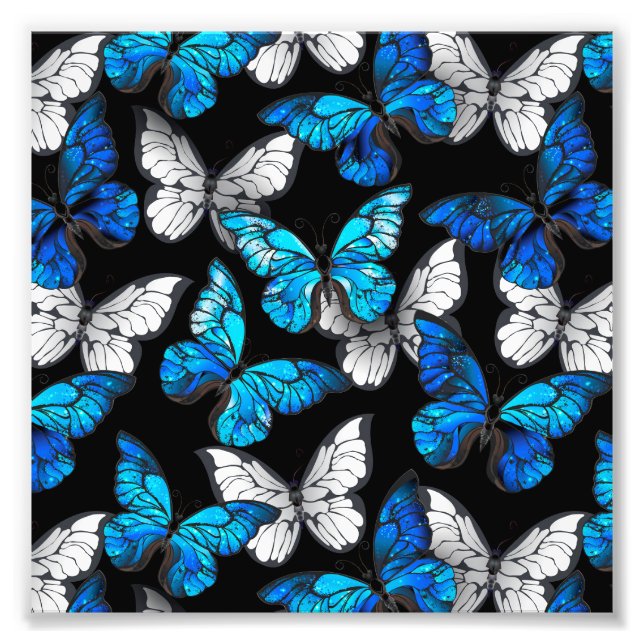 Mörk Sömlöst Mönster med Blue Butterflies Morpho Fototryck (Framsidan)