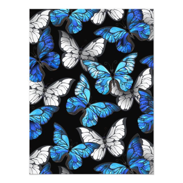 Mörk Sömlöst Mönster med Blue Butterflies Morpho Fototryck (Framsidan)