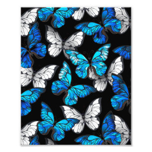 Mörk Sömlöst Mönster med Blue Butterflies Morpho Fototryck