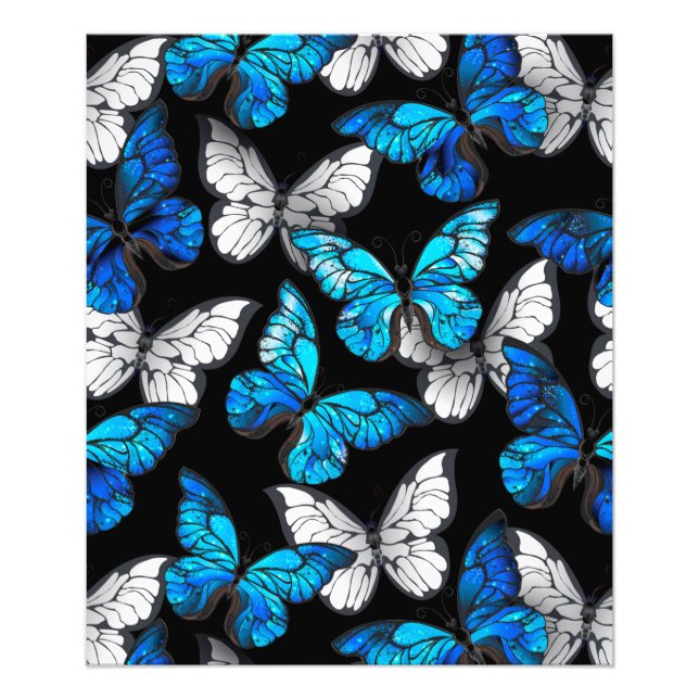 Mörk Sömlöst Mönster med Blue Butterflies Morpho Fototryck (Framsidan)