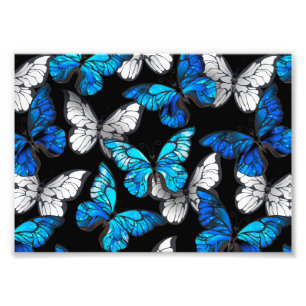 Mörk Sömlöst Mönster med Blue Butterflies Morpho Fototryck