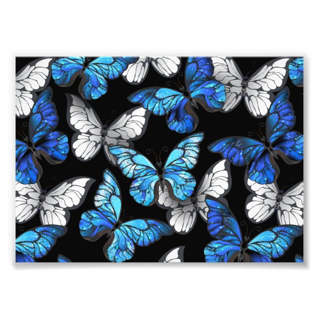 Mörk Sömlöst Mönster med Blue Butterflies Morpho Fototryck (Framsidan)