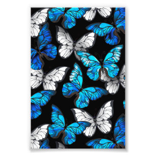 Mörk Sömlöst Mönster med Blue Butterflies Morpho Fototryck