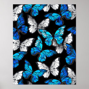 Mörk Sömlöst Mönster med Blue Butterflies Morpho Poster
