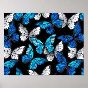Mörk Sömlöst Mönster med Blue Butterflies Morpho Poster