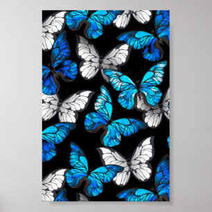 Mörk Sömlöst Mönster med Blue Butterflies Morpho Poster