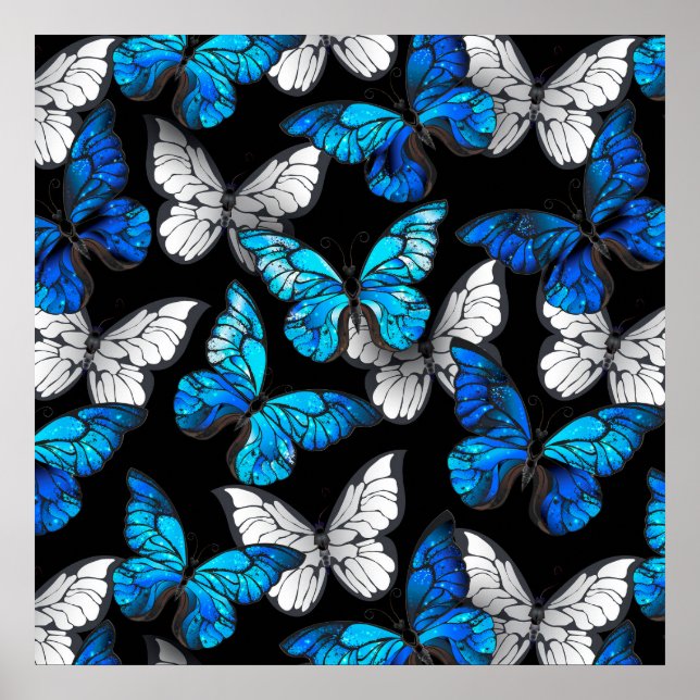 Mörk Sömlöst Mönster med Blue Butterflies Morpho Poster (Framsidan)