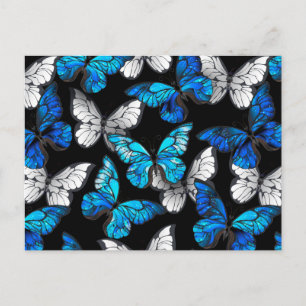 Mörk Sömlöst Mönster med Blue Butterflies Morpho Vykort