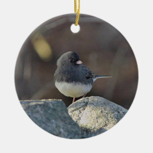 Mörk-synad junco julgransprydnad keramik