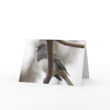 Mörk-synat Juncohälsningkort