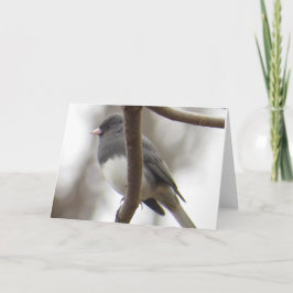 Mörk-synat Juncohälsningkort Kort