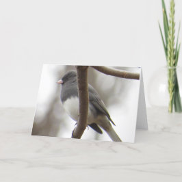 Mörk-synat Juncohälsningkort Kort