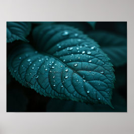 Mörk Turkos Makroblad Med Regnvatten Droppar Poster