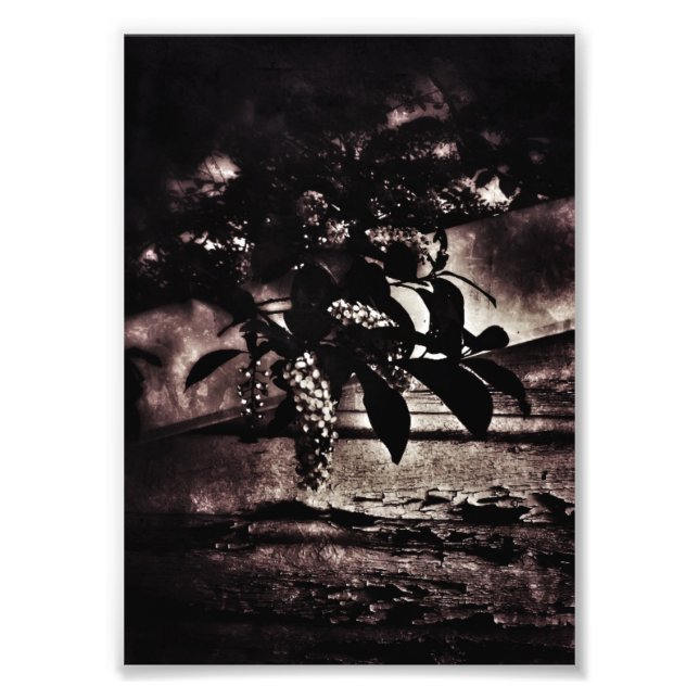Mörk Vår Fototryck (Framsidan)