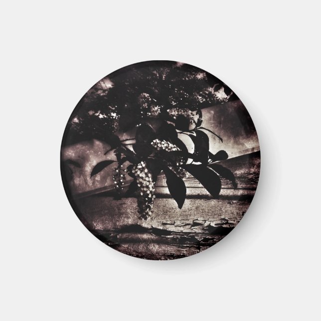 Mörk Vår Magnet (Framsidan)