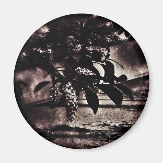 Mörk Vår Magnet (Framsidan)