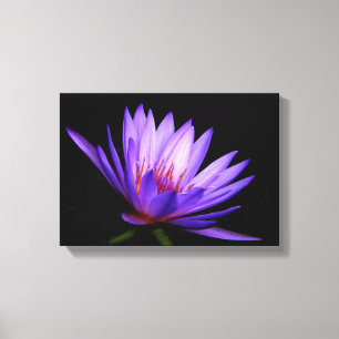 Mörk Vatten Lily Canvas