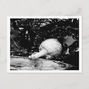 mörk vykort