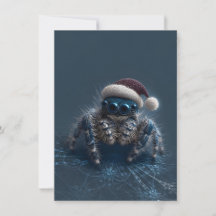 Mörka hoppande spindel julkort