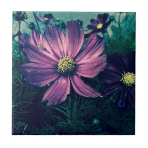 Mörka lila blommor Foto Konst Kakelplatta