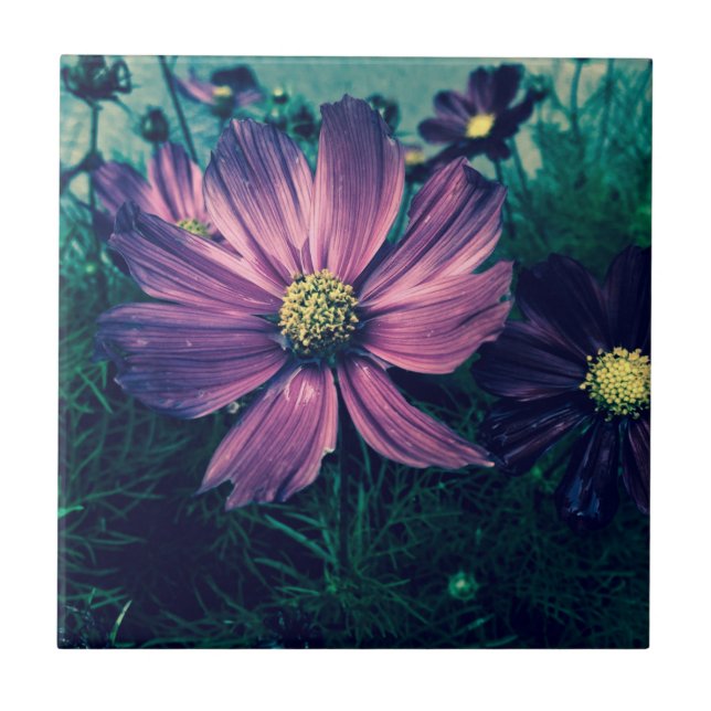 Mörka lila blommor Foto Konst Kakelplatta (Framsidan)