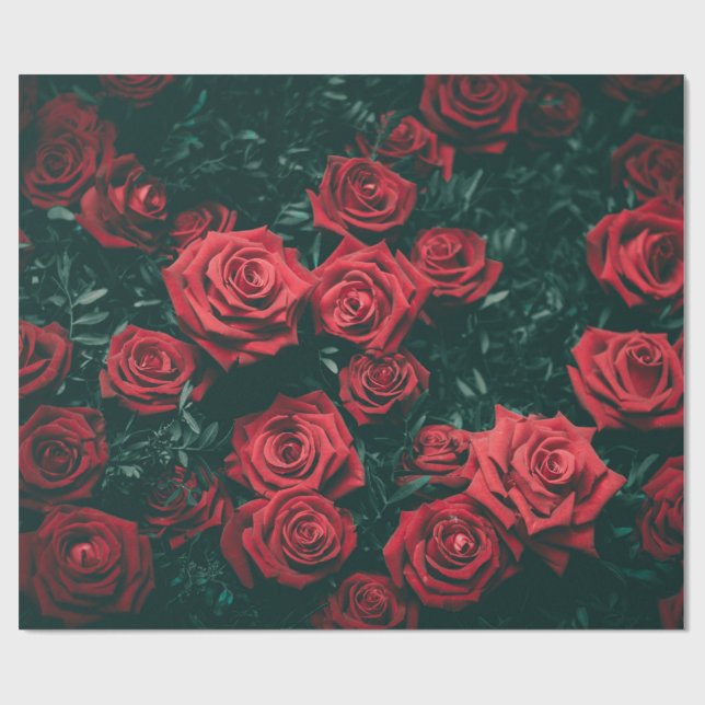 Mörka Röda Rosor Blommig Mönsterbakgrund Presentpapper (Platt)