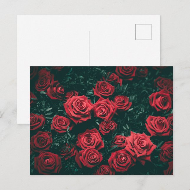 Mörka Röda Rosor Blommig Mönsterbakgrund Vykort (Fram/baksida)