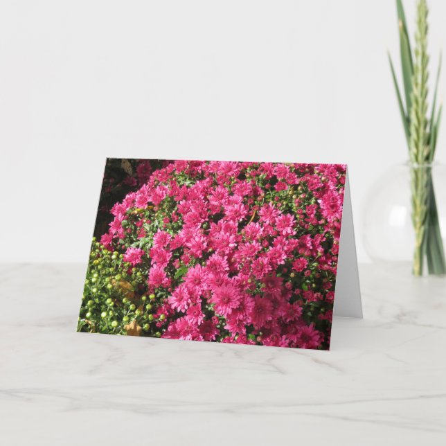 Mörka rosa mammor  kort (Framsida)